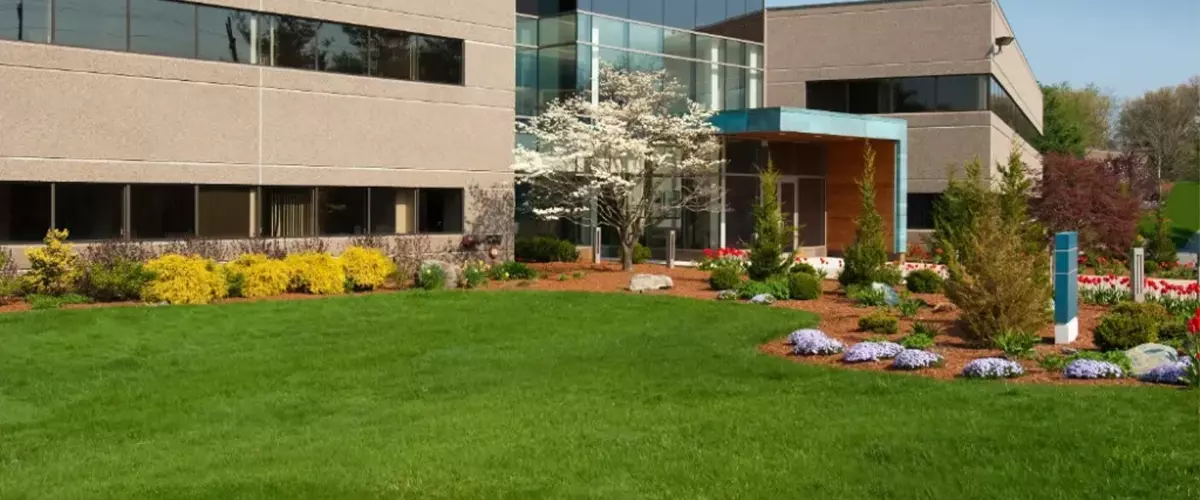Technician repairing washing machine