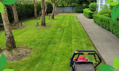 Technician repairing washing machine